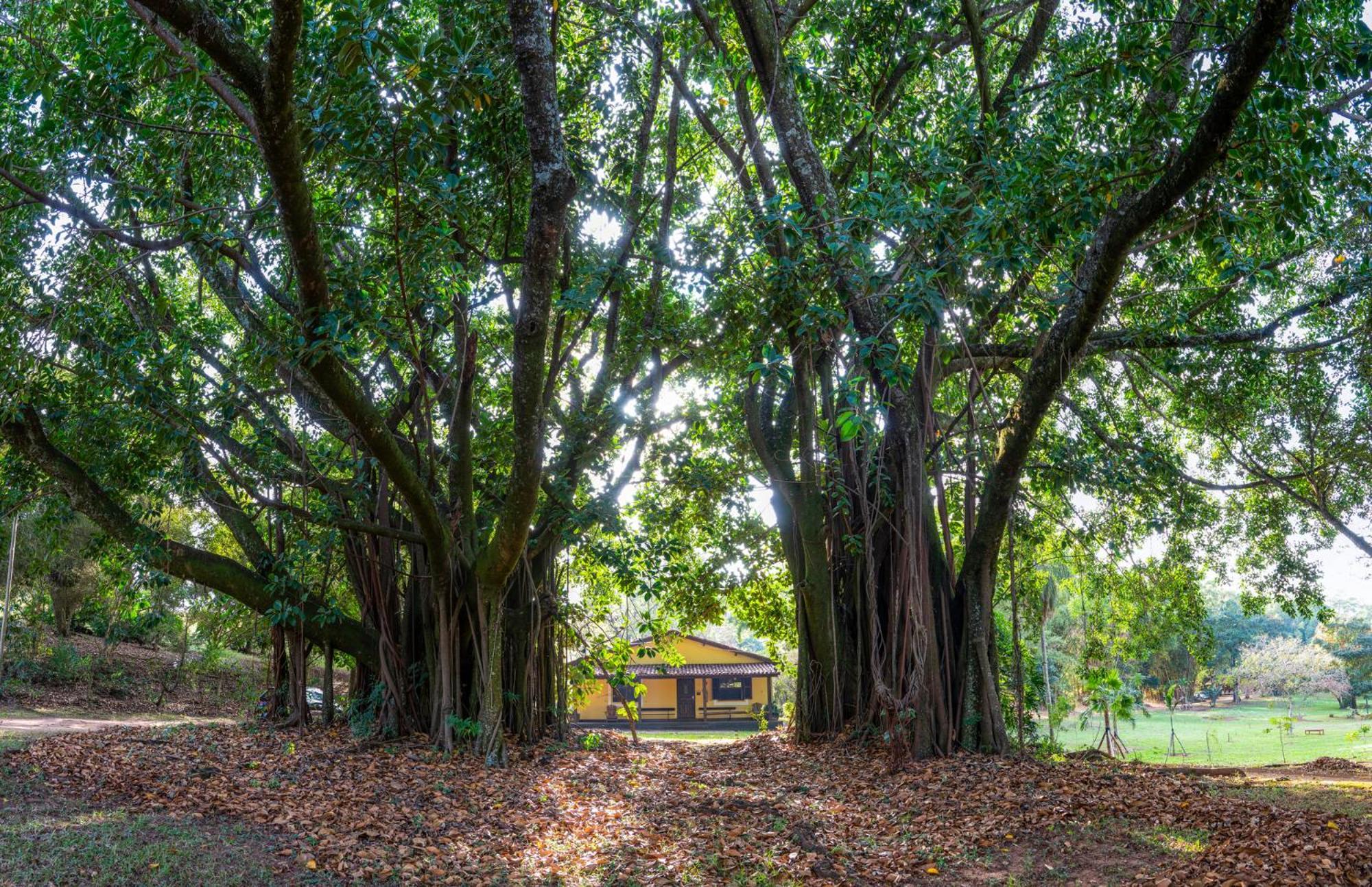 Hotel Fazenda Bela Vista โดราโด ห้อง รูปภาพ